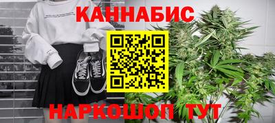 тгк Кингисепп