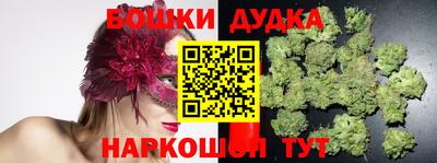 тгк Кингисепп