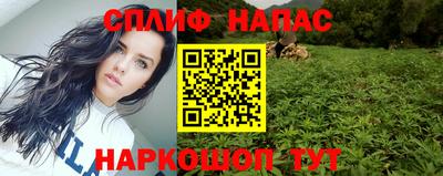 тгк Кингисепп