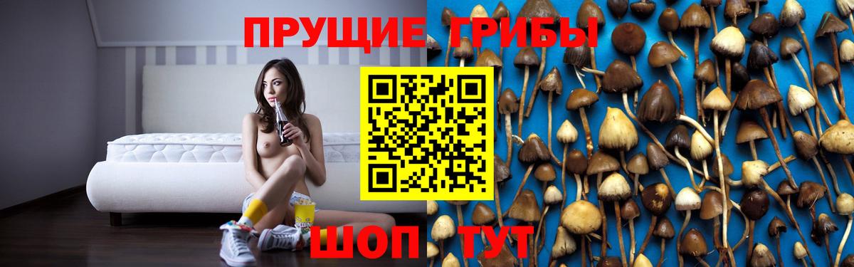 Киселёвск  Псилоцибиновые грибы GOLDEN TEACHER  Вход с VPN 